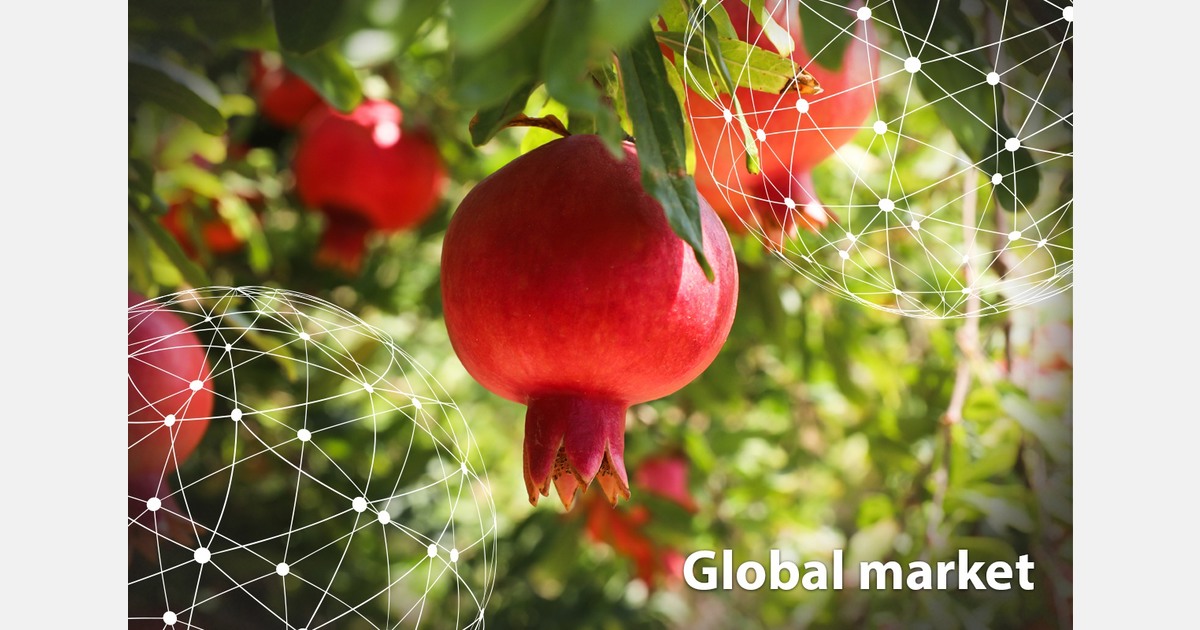 GLOBAL MARKET OVERVIEW POMEGRANATES