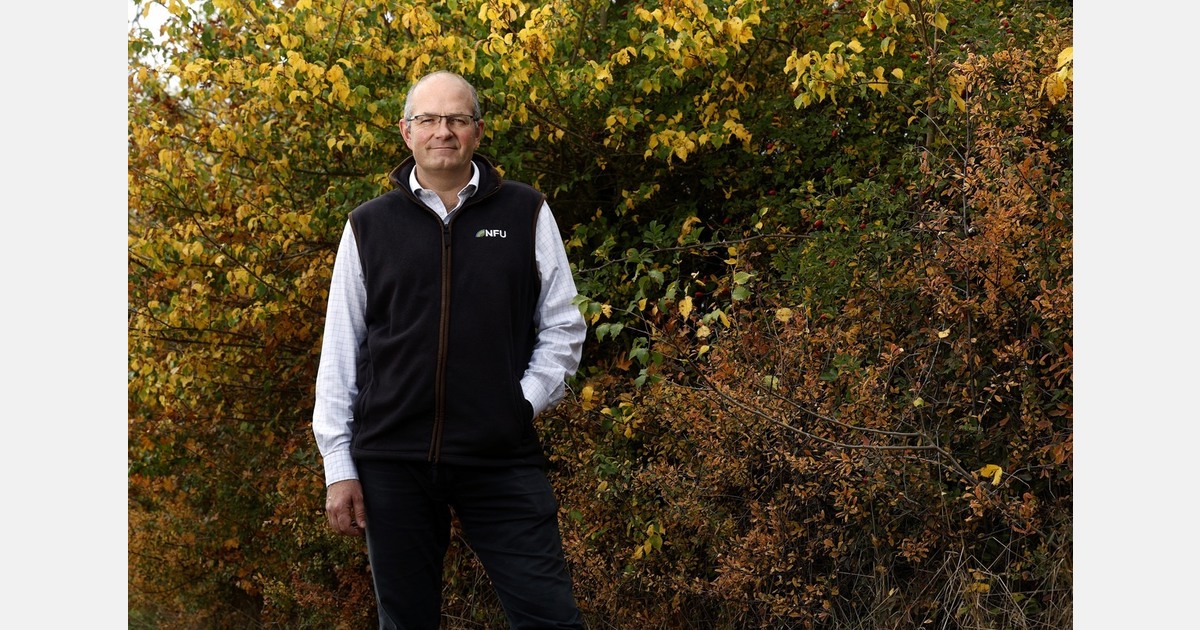 Farm profitability report points to fruit price gains and potato price decline