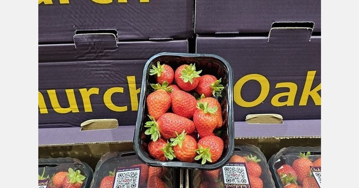 British strawberries supplied to wholesale market during winter