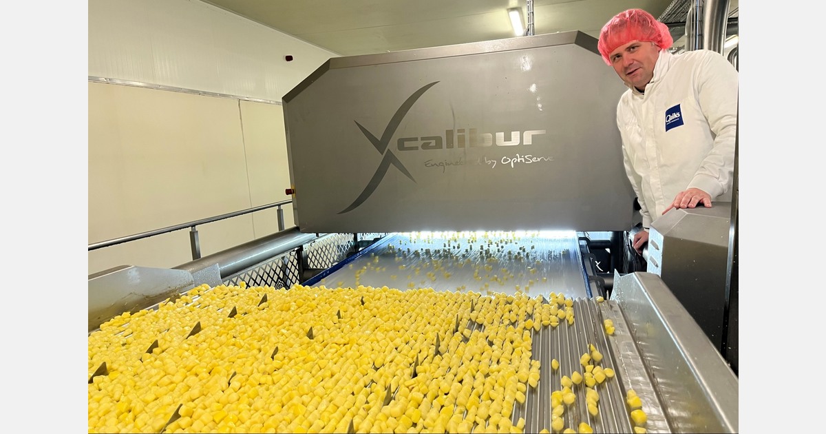 Modular sorting technology integrates seamlessly into existing potato lines
