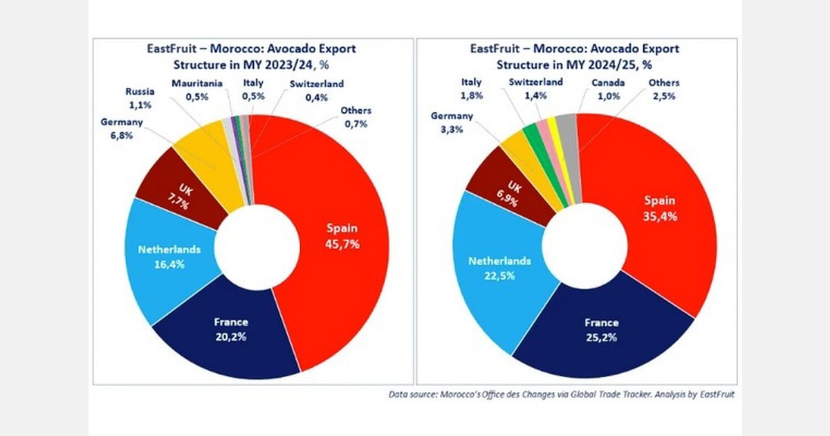 Morocco steadily strengthening its position in the global avocado market