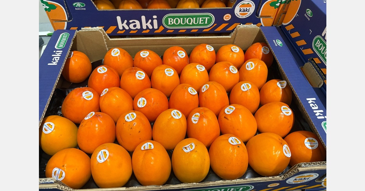 “Spanish season: lemon and persimmon shortage, while Tango and Nadorcott remain positive outliers”