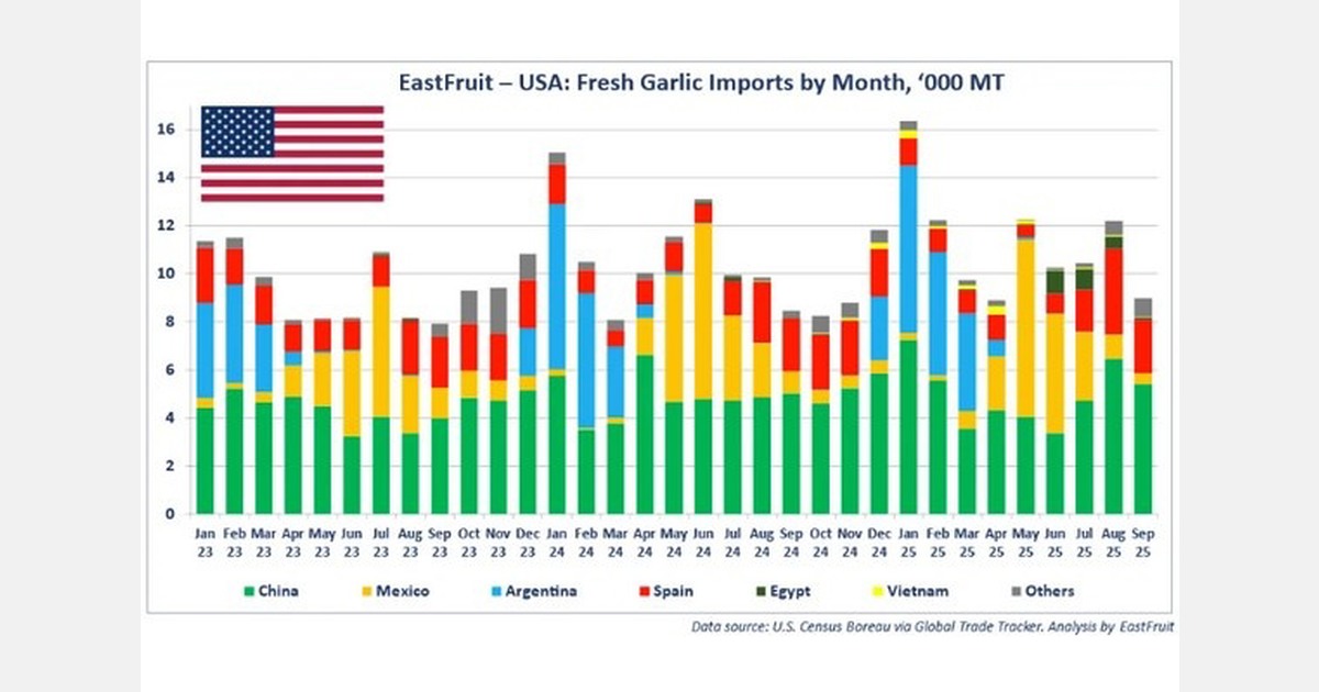 Egypt exports record volumes of garlic to U.S. market in 2025