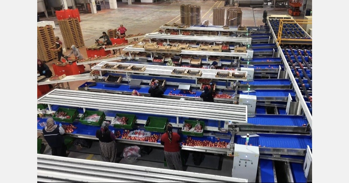 Turkish organic producer adds 6-lane apple pre-sorting line