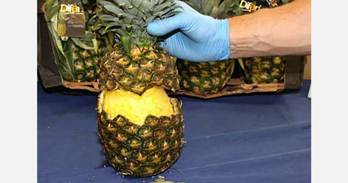 Spain seizes cocaine hidden in pineapple shipment from Costa Rica