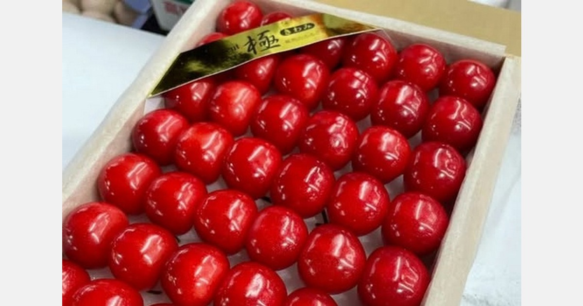 Japanese premium cherries fetch US$12,000 per box at early auctions