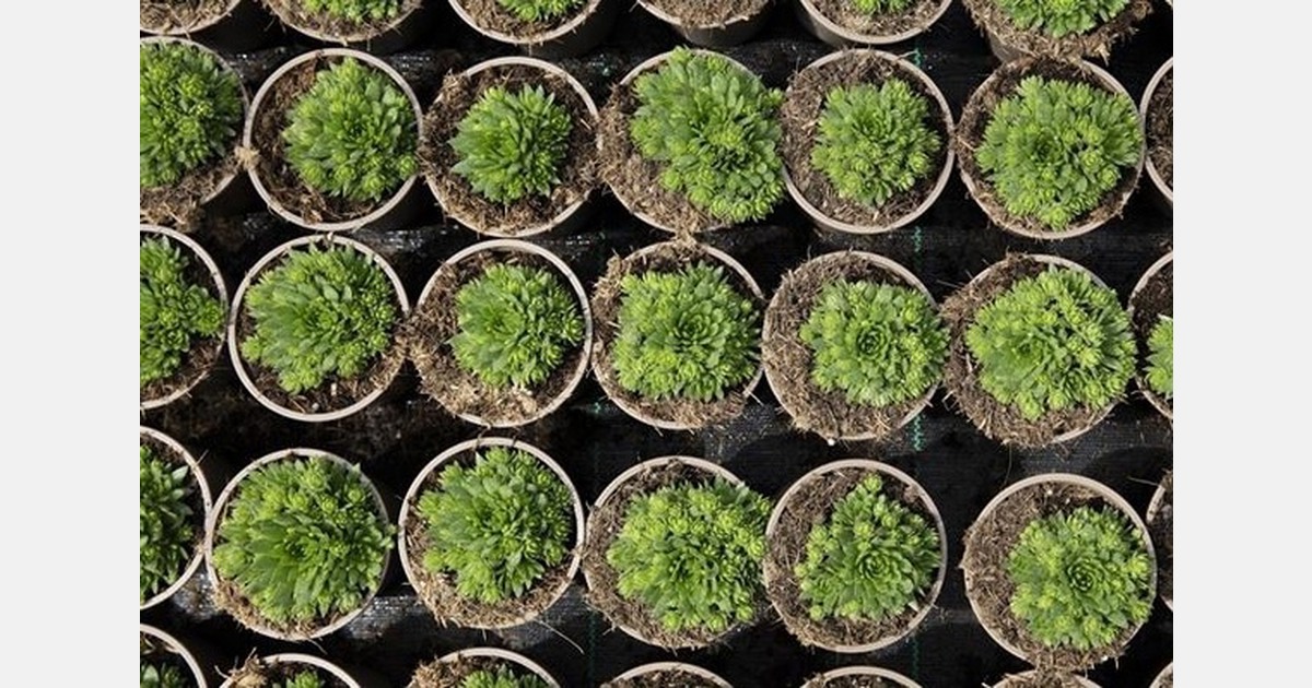 UK horticulture assesses implications of farm profitability review