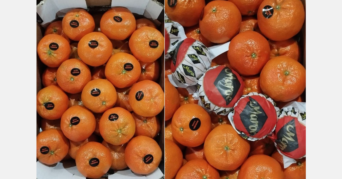 "We see a solid demand from Russia for Moroccan Nadorcott"