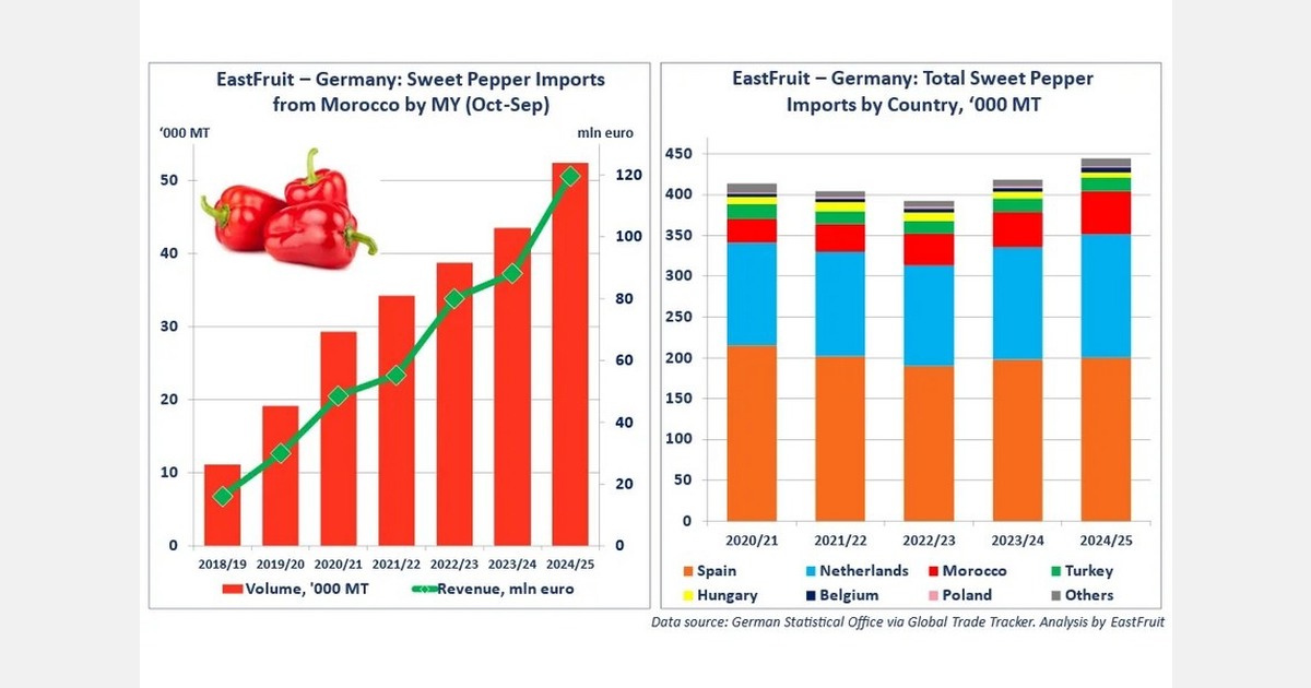 Morocco ships 52,400 tons of sweet peppers to Germany