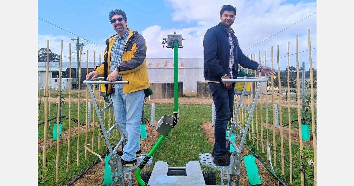 Western Australia trials tree platform in narrow orchards