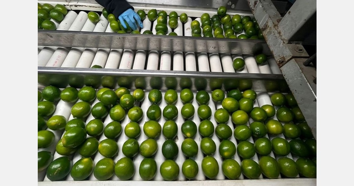 Colombia and now Peru are moderately chipping away lime market share in the USA