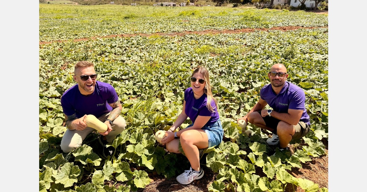 "The weather in Spain may start to affect production, and some growers may finish earlier than expected"