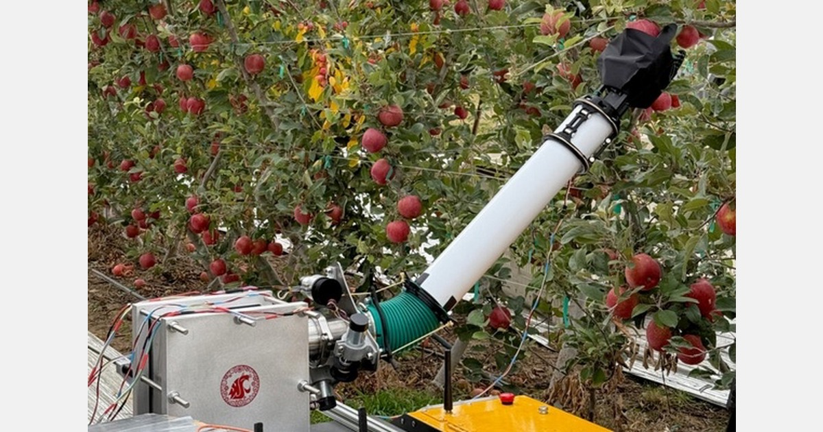 Washington State develops inflatable robotic apple picker