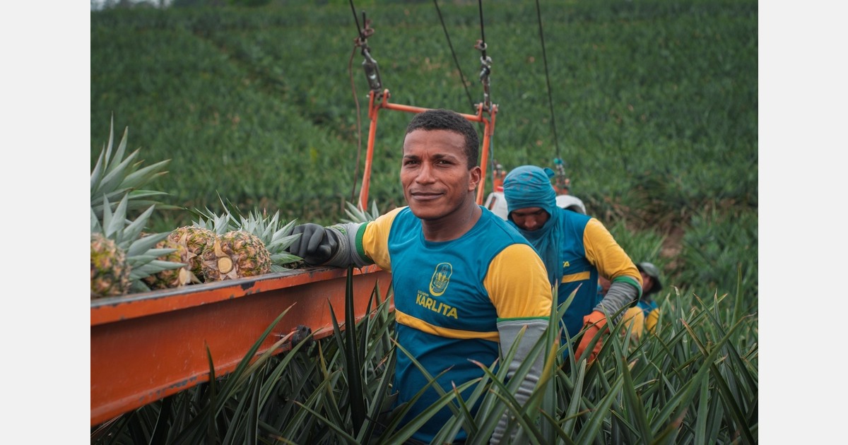 Tropical fruit suppliers present South America and Africa in Berlin