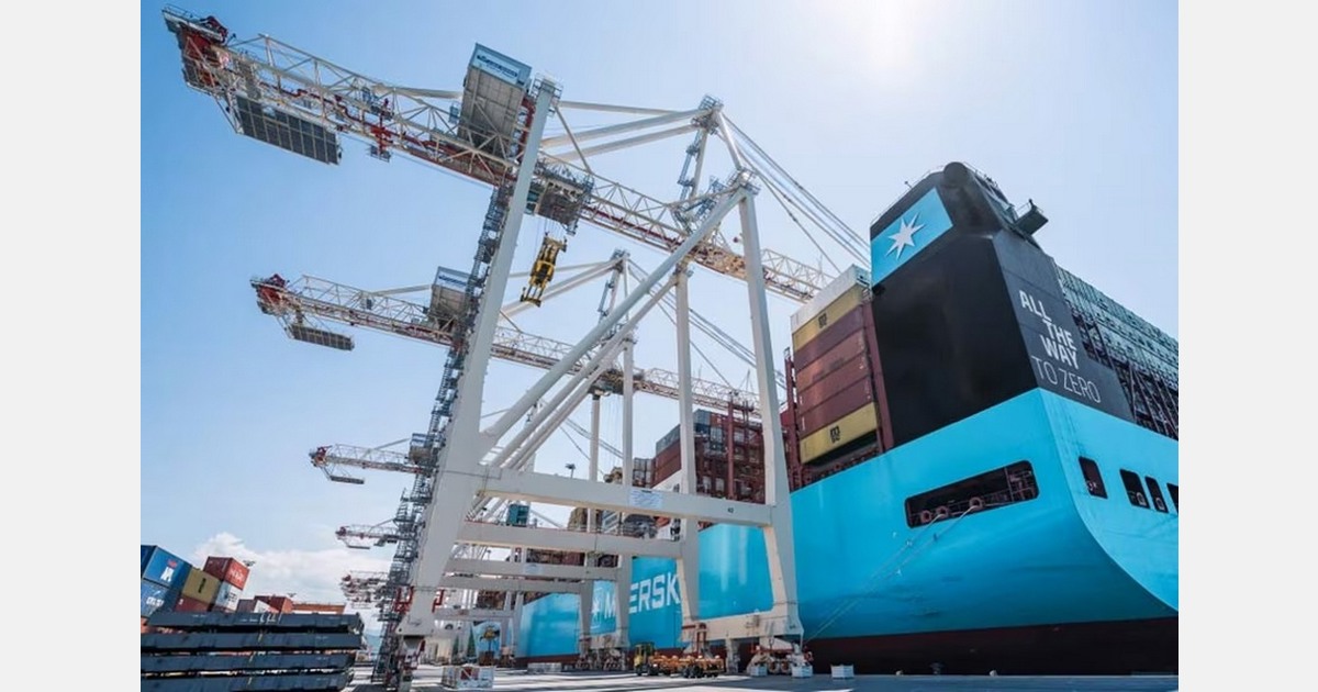 Cold chain resilience shapes fresh produce logistics