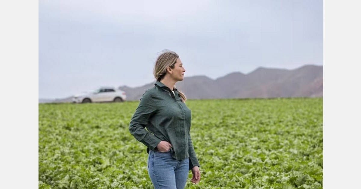 Crop resilience and snack formats shape retail vegetable supply