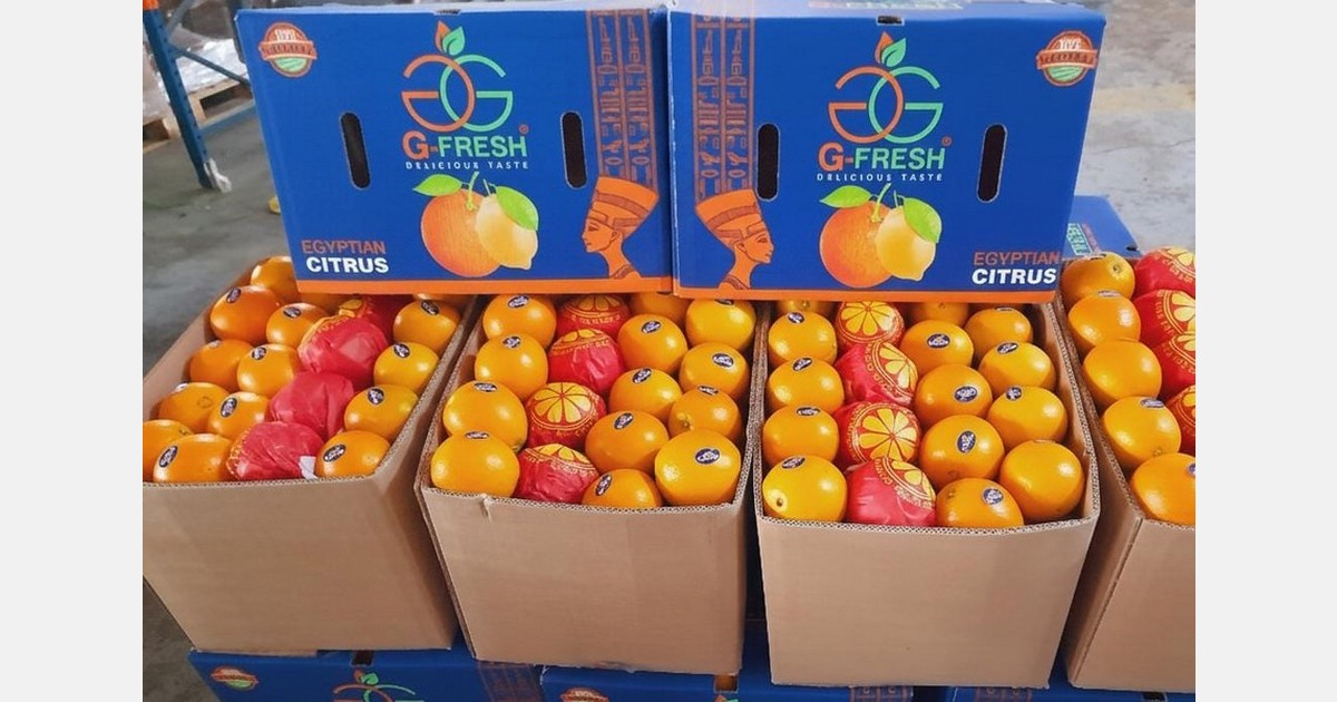 "Egypt is experiencing a solid orange season"