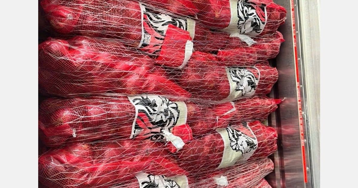 "The quality of the Dutch arrivals has been very good"