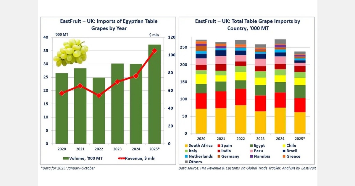 Egypt expands table grape exports to the United Kingdom