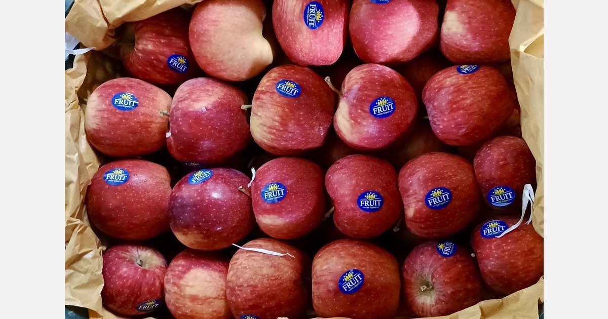 “​​Iran's internet blackout has not hit our apple trade, but high landing costs are"