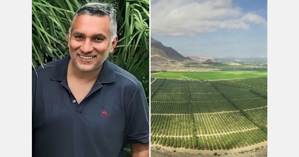 Peru tapering asparagus supply