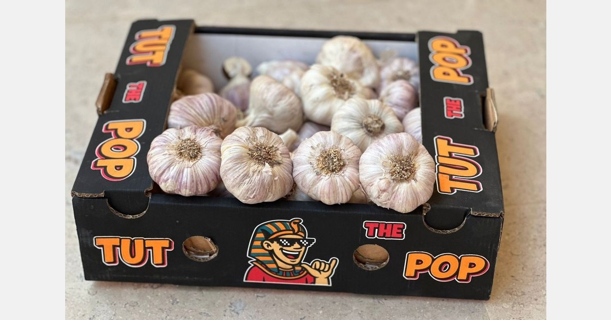 North America increasingly diversifies sourcing of garlic