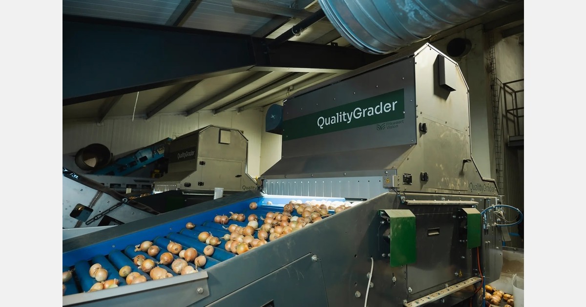Swedish onion packer automates quality control