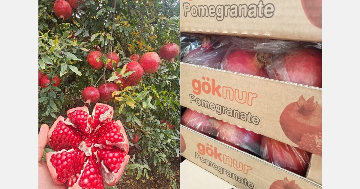 "It was surprising to see such high demand for pomegranates in our main markets"