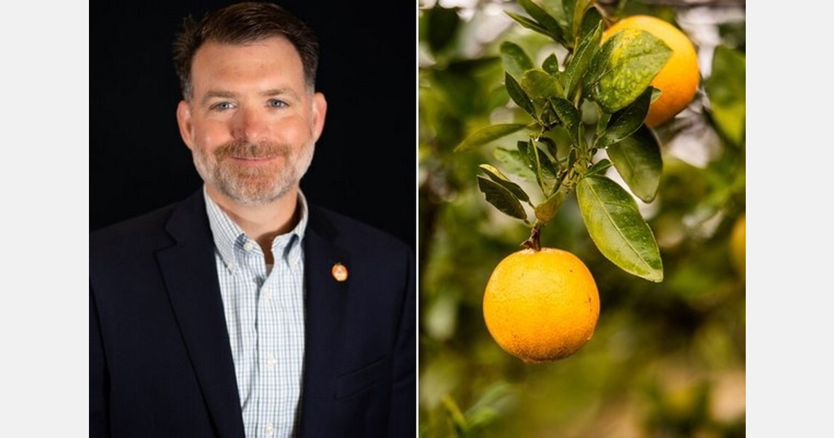 Citrus industry in Florida prepares for cold snap