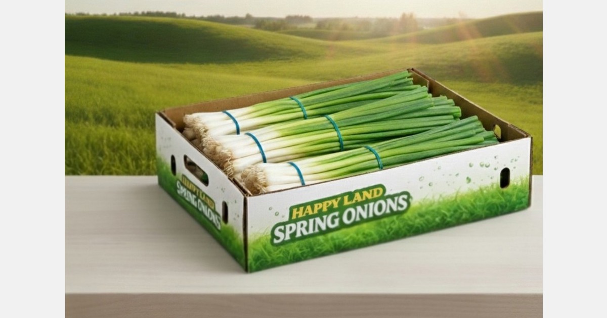 Strong demand for Egyptian spring onions in European markets