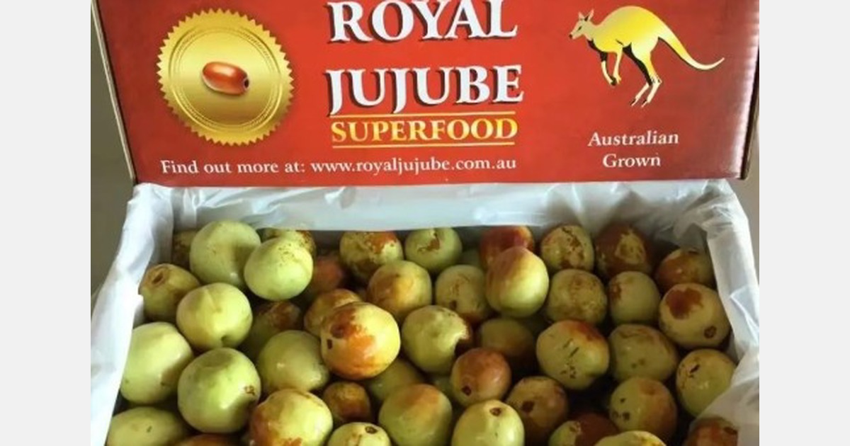 "The soil and climate in New South Wales are perfect for growing the jujube trees"