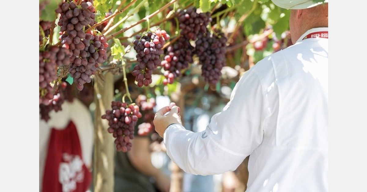 Fruit marketer expands network to support growth of branded grape programs