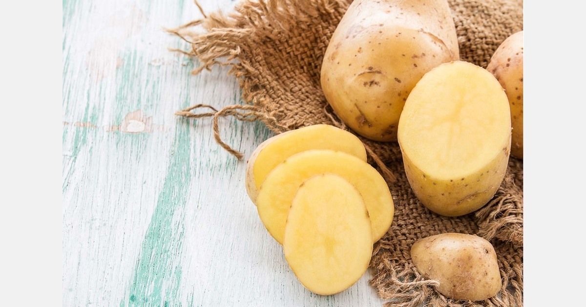 Europatat guidance highlights potatoes as biologically active products