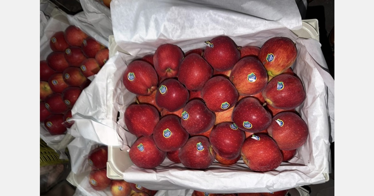 "Half-empty Iranian vessels signal February apple shortage in India"