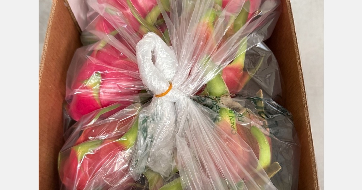 Modified atmosphere packaging for pitaya long-distance shipments