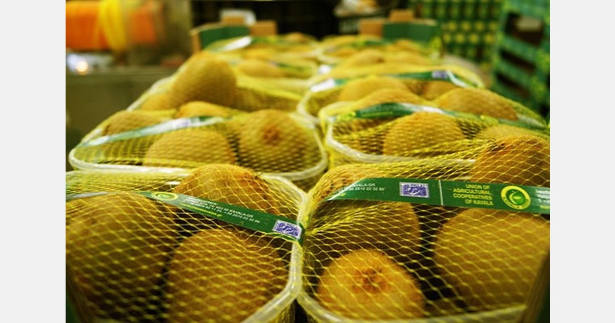 January brings a rebound in demand for Greek kiwifruit
