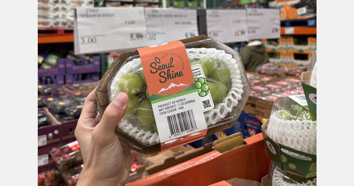 "This is our first season supplying Shine Muscat to Costco U.S. through export programs"