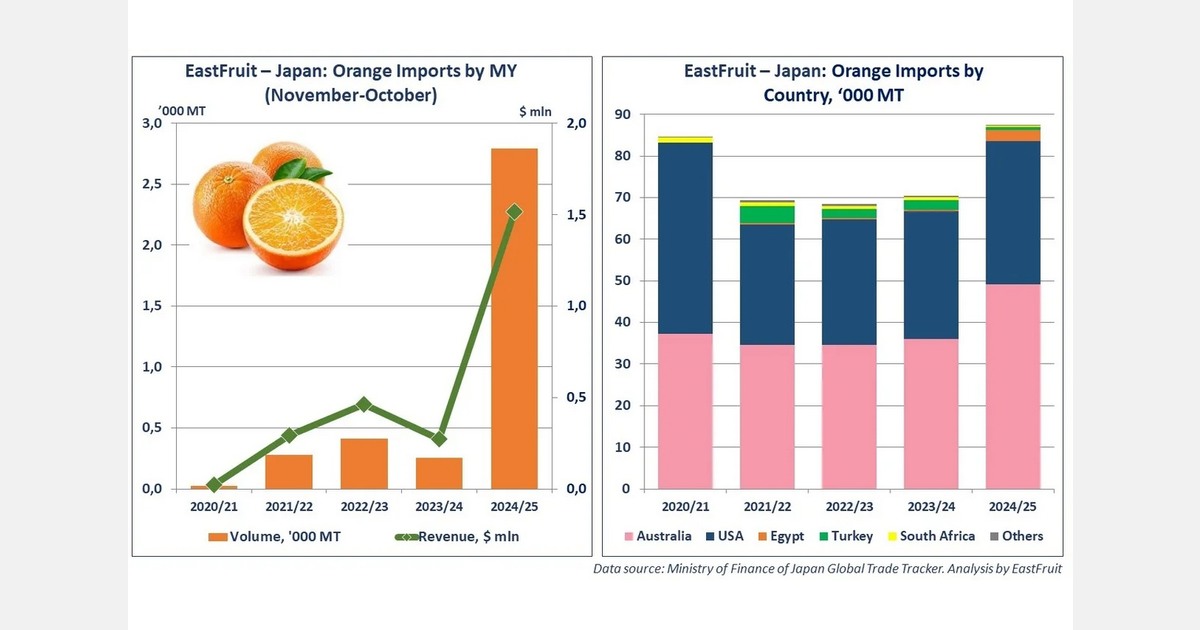 Egyptian orange exports to Japan increase sharply in 2024/25