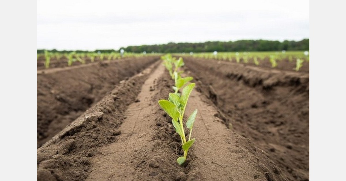 Solynta secures majority investment from EW Group