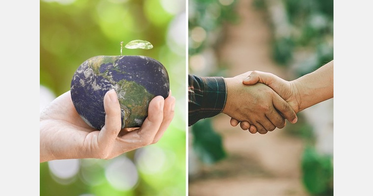 An overview of accomplishments that strengthen fair and ethical trade