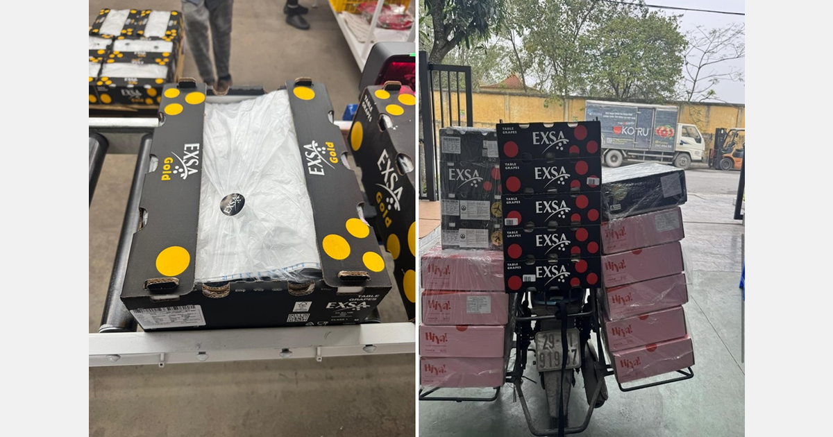 Marketing South African grapes as complex as it’s ever been