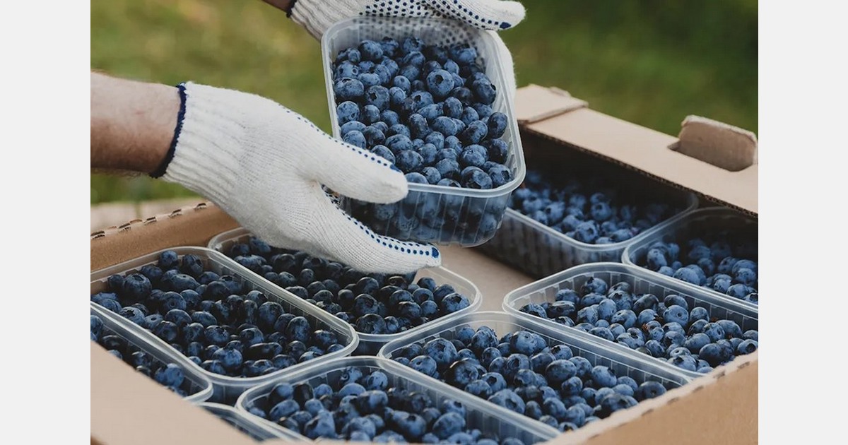 Organto Foods appoints Chad Hagen to board