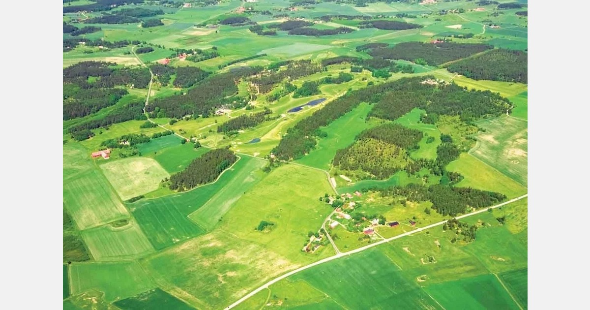 Queensland growers face fuel shortages threatening harvests
