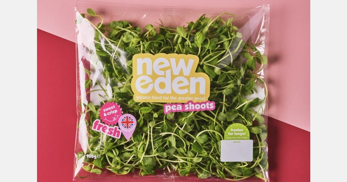 Vertically farmed salads launch on Ocado