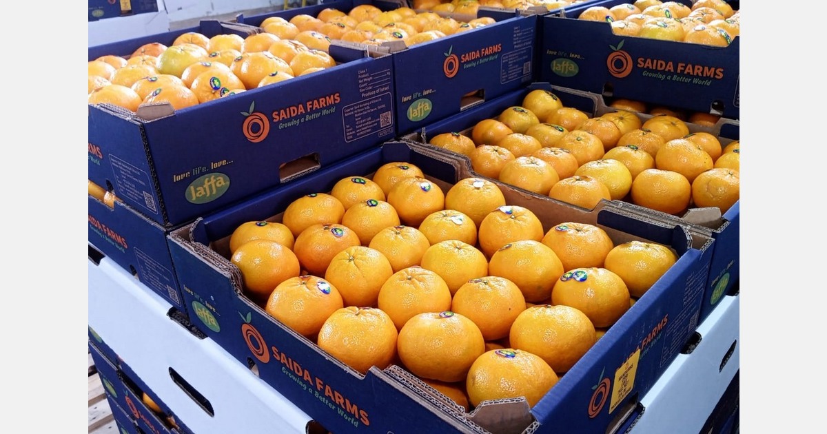"Yield for Orri mandarins is expected to be higher"