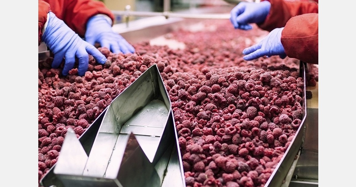 Zi-Vision and Naddeo cooperate in Benelux and Germany