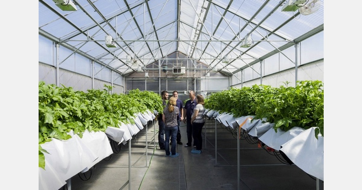 New Zealand research institutes merge into single bioeconomy organisation