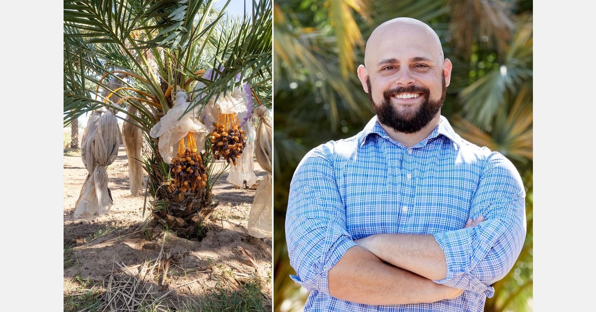 Ramadan is single largest date consumption holiday globally