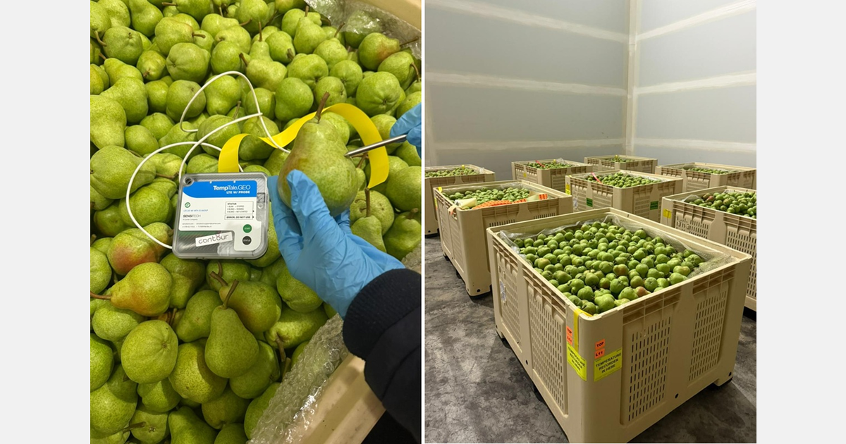 “Getting fruit out is the easy part - it’s when you’re trying to be cost-effective that you’re stuck”