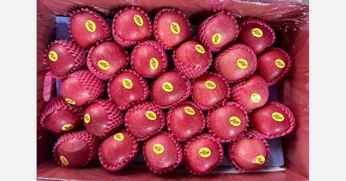 "90% of Nepal's Fuji apples from China proved risky this season"